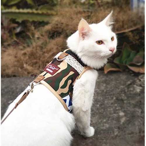 Cat Harness and Leash F206500