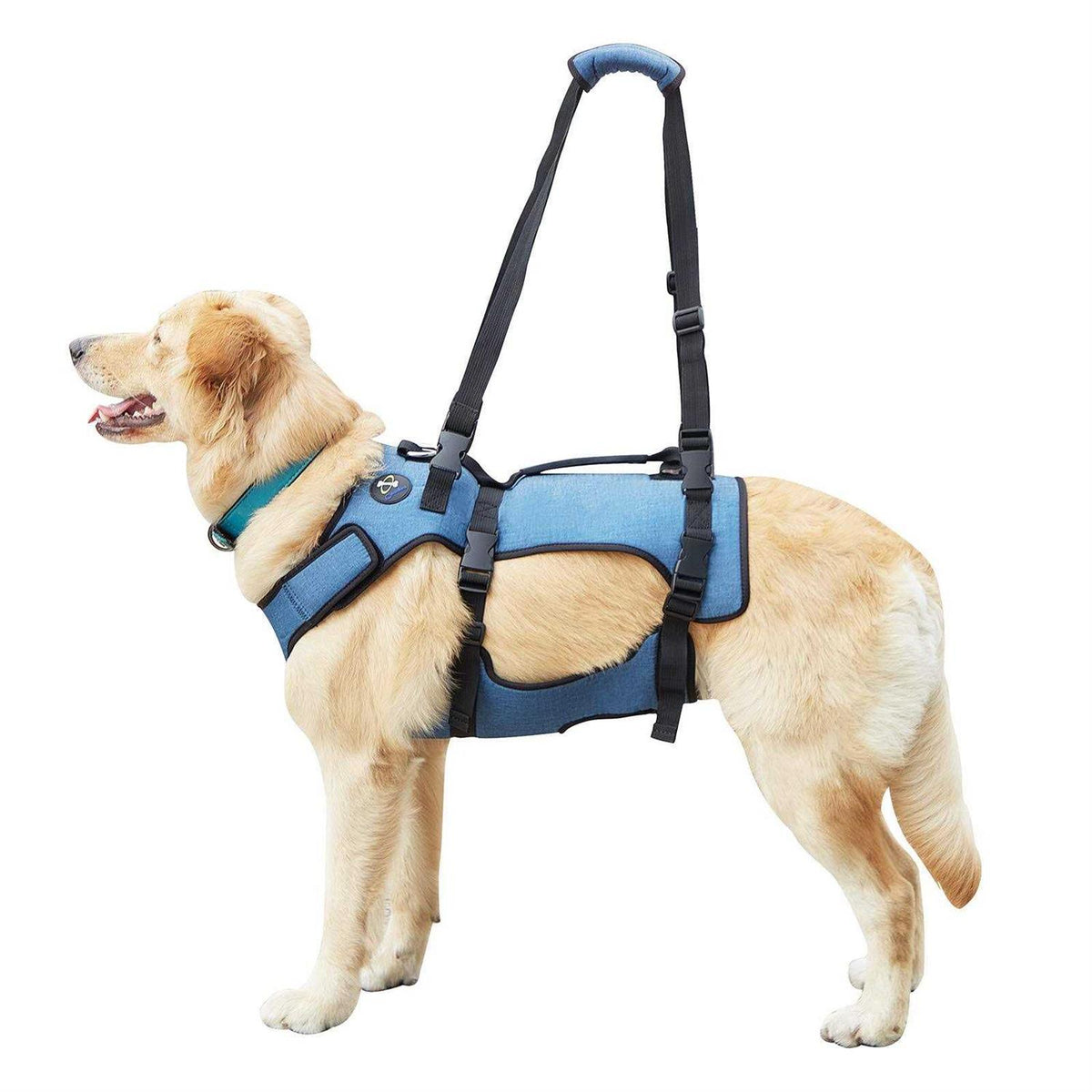 Adjustable Breathable Dog Lift Harness D472770