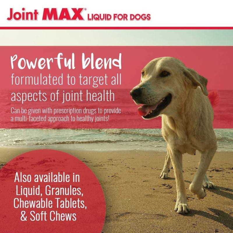 Liquid for Dogs B683933
