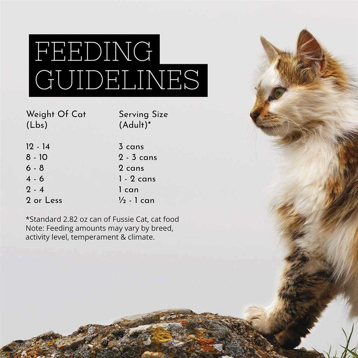 Chicken Gravy Cat Food N811633