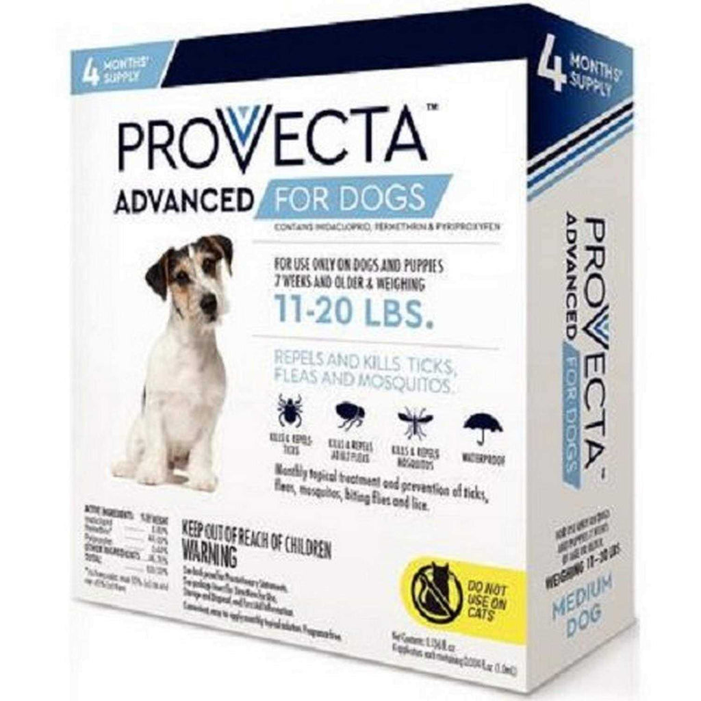 Advanced for Dogs G894799