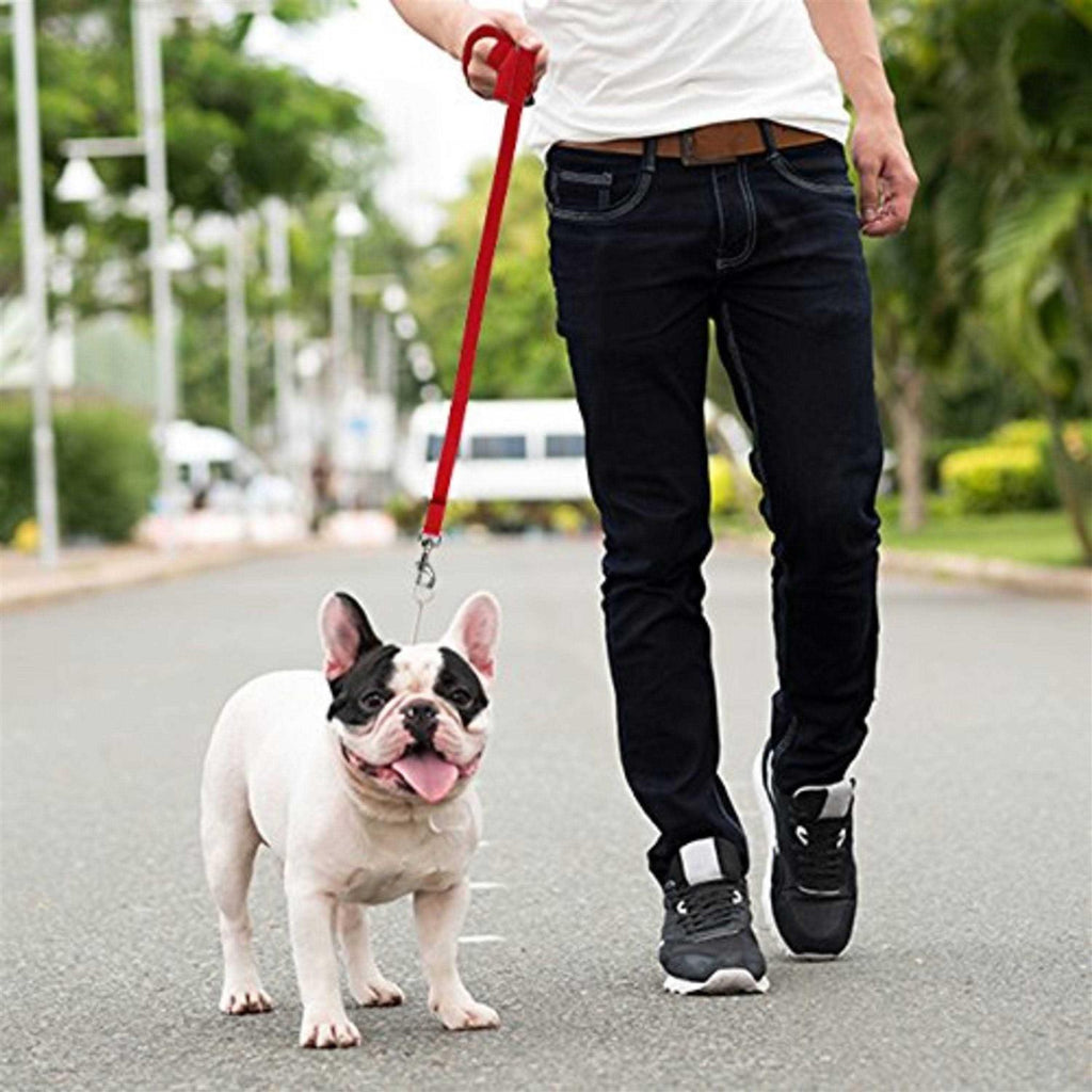Long Lead Dog Leash S35431