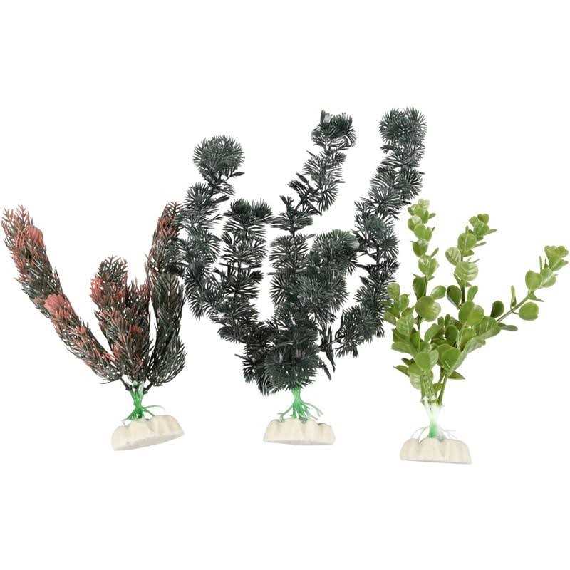 Aquarium Plants V25393
