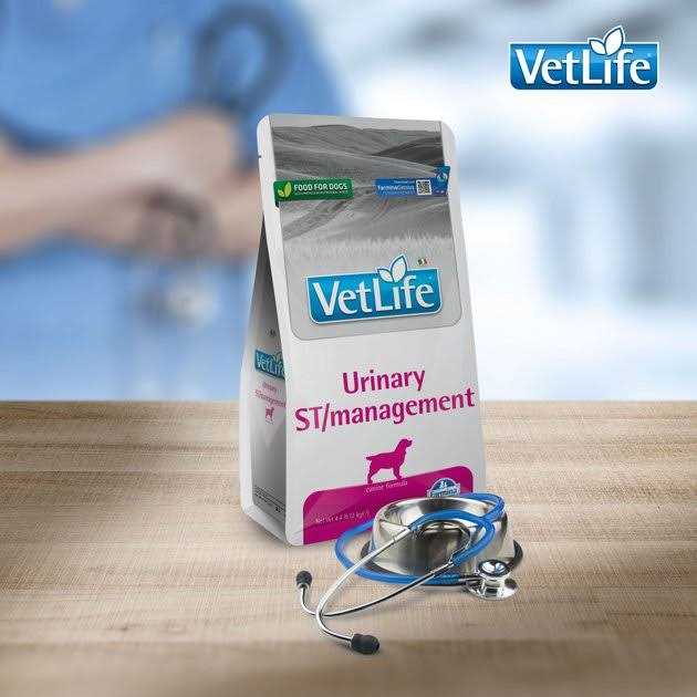 Canine Urinary Management D18968