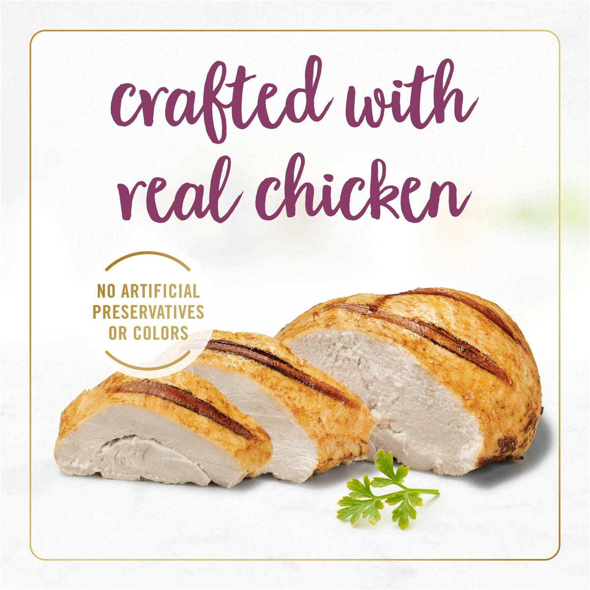 Grilled Gravy Cat Food M541103