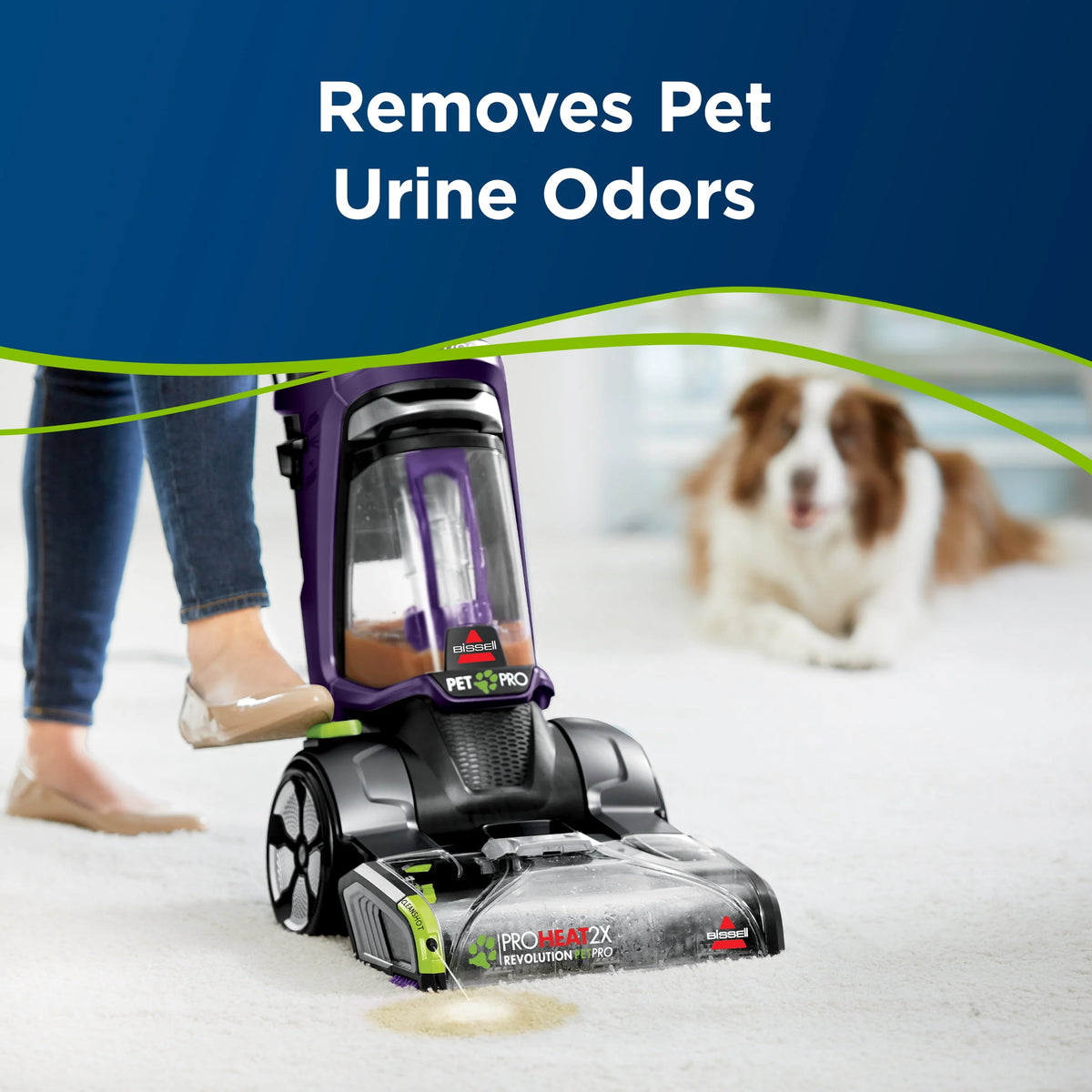 Unscented Pet Urine Stain & Odor Remover E55897