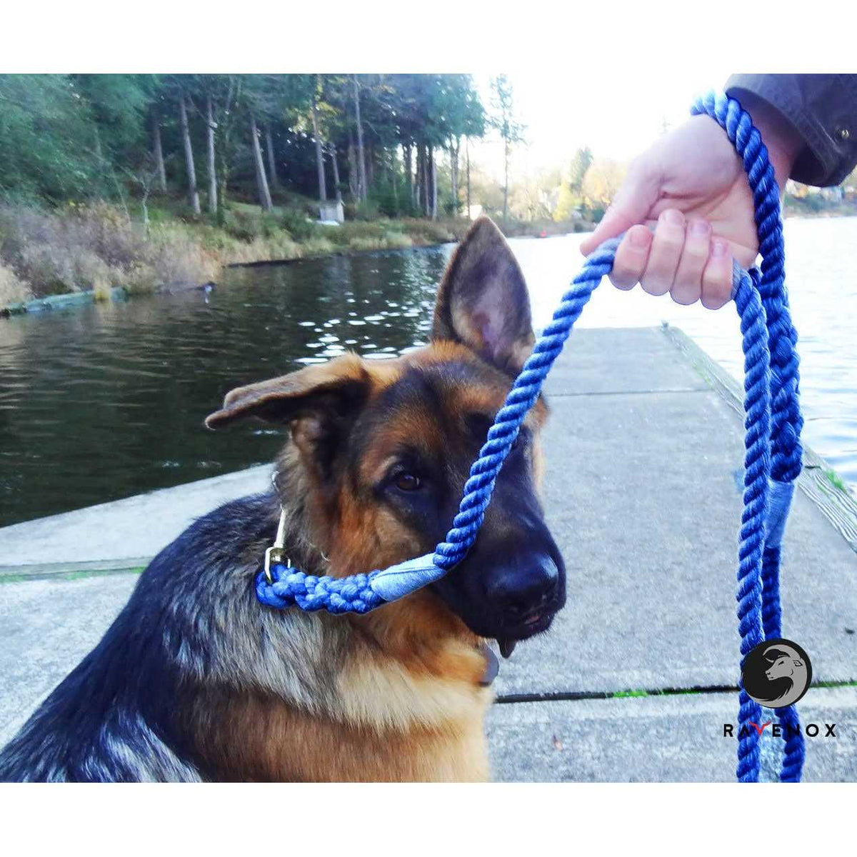 Cotton Rope Leash H480