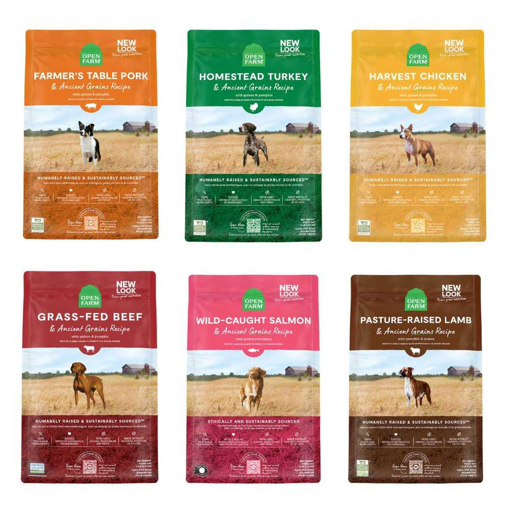 Whitefish & Ancient Grains Dry Dog Food A6856