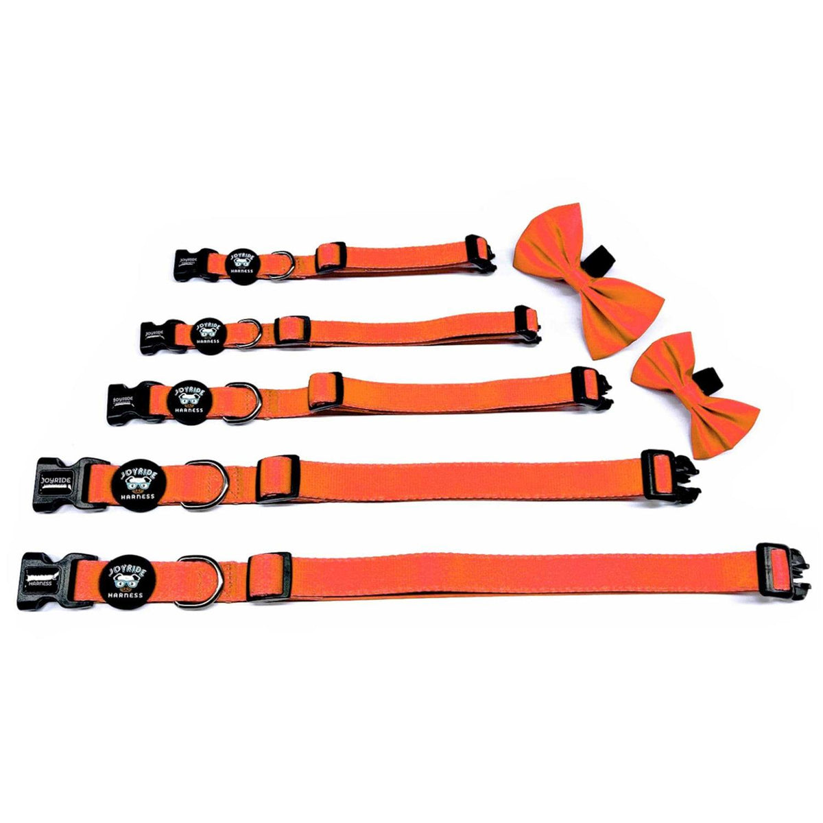 Dog Collar with Removable Bow Tie F34240