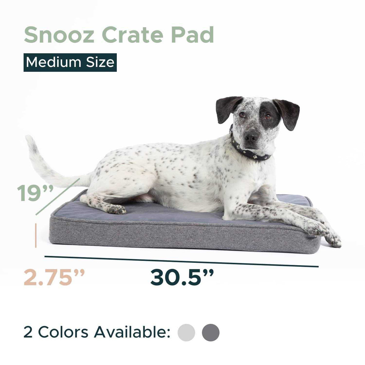 Memory Foam Dog Bed R9175