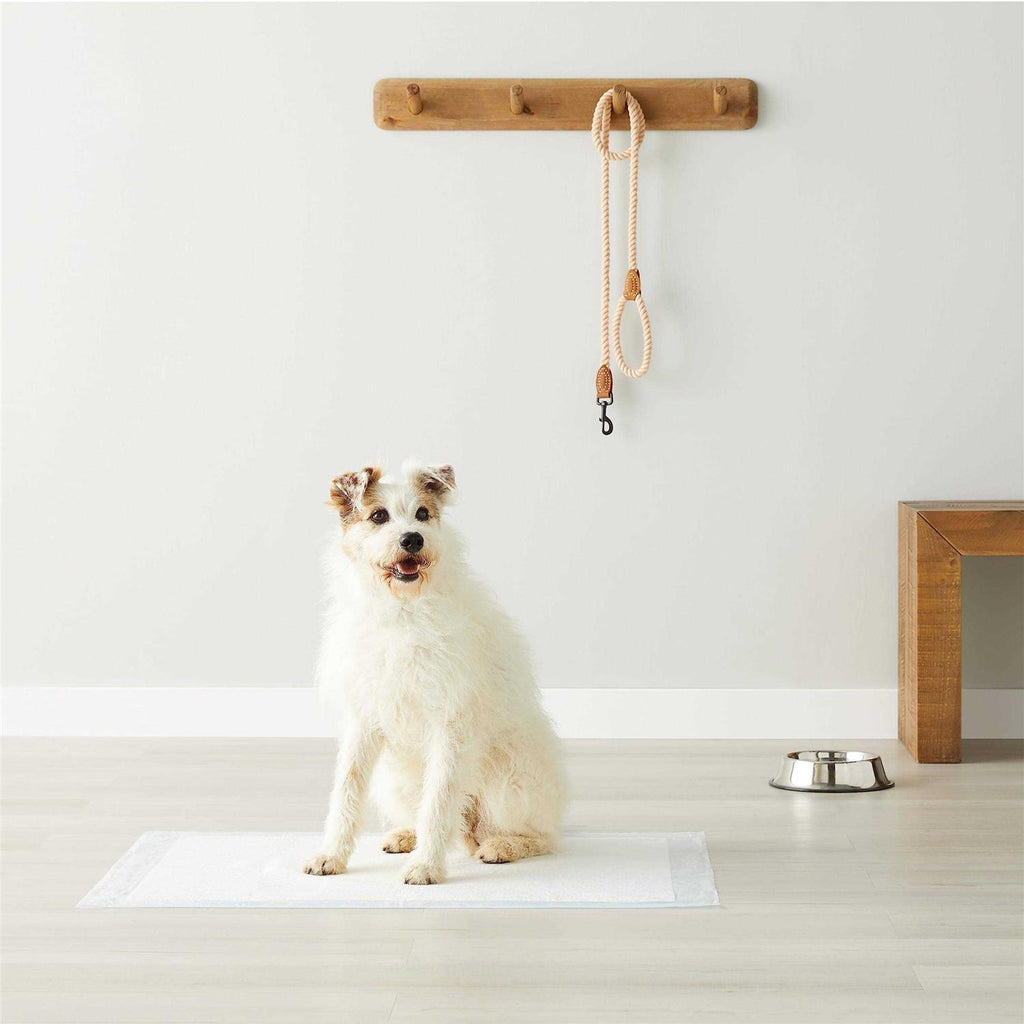 Dog and Puppy Pee Pads 5-layer Leak-proof Quick-dry Q91862