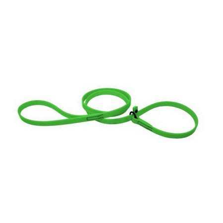 Biothane Slip Dog Leash P855153