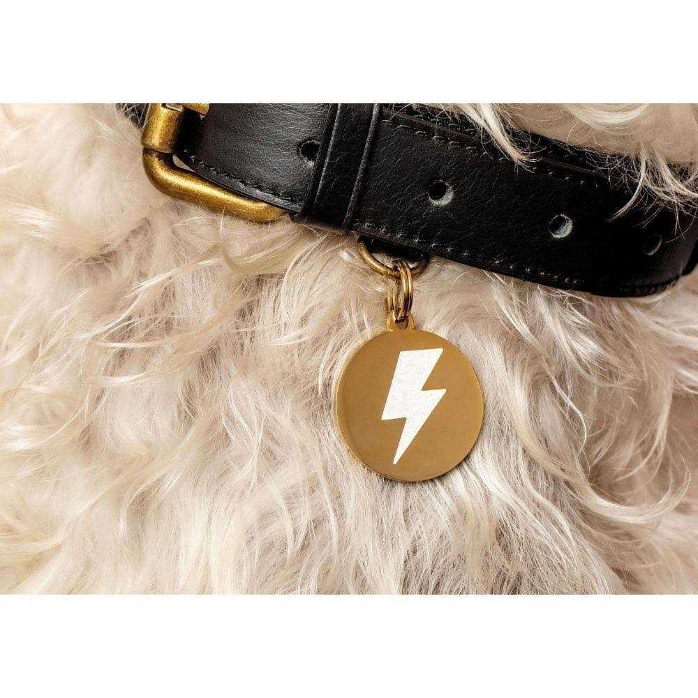 Lightning Bolt Pet ID Tag K287