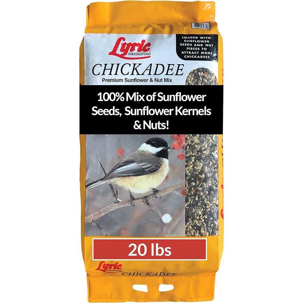 Chickadee Wild Bird A862916