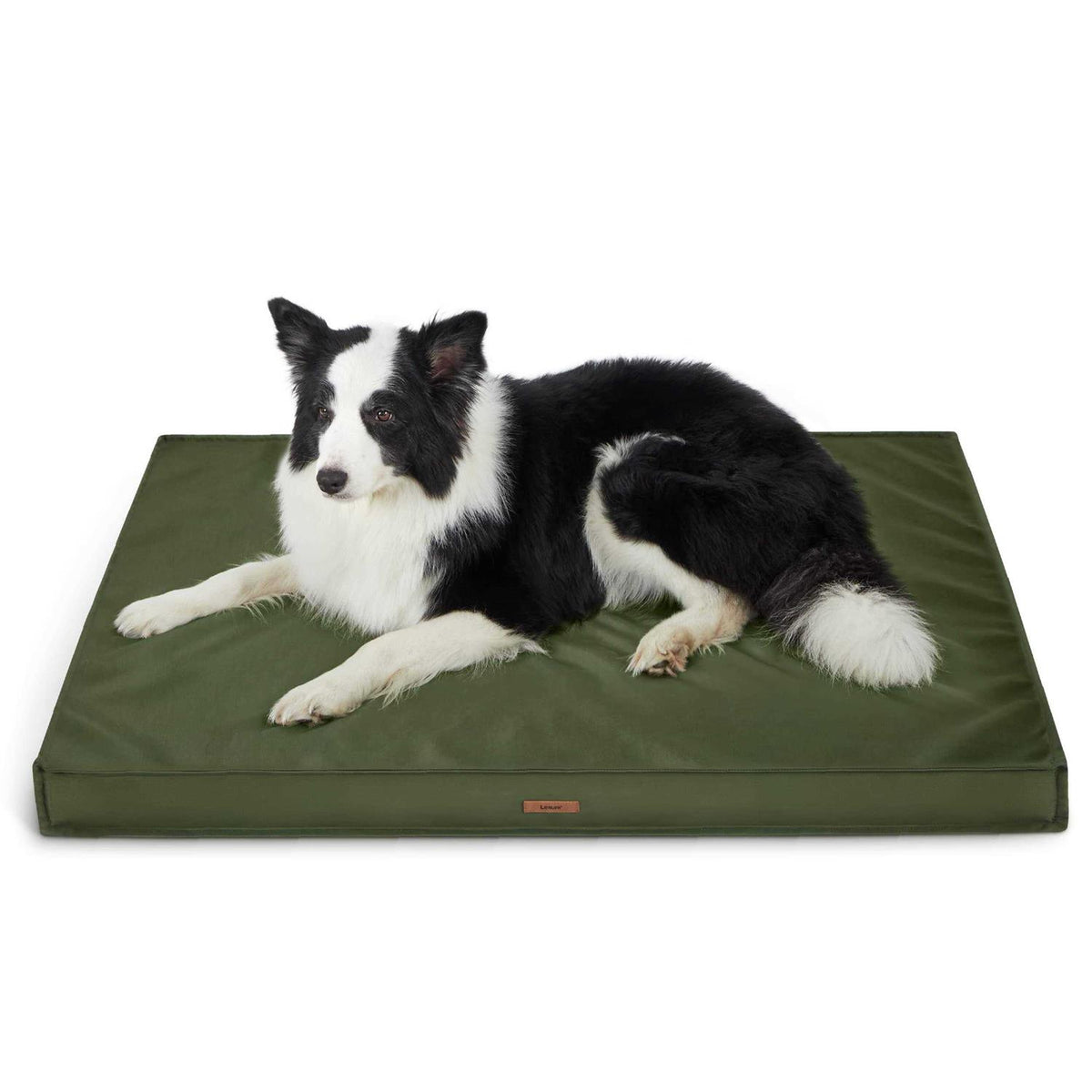 Waterproof Oxford Fabric Dog Bed S372