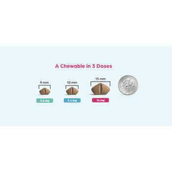Chewable for Dogs H47968