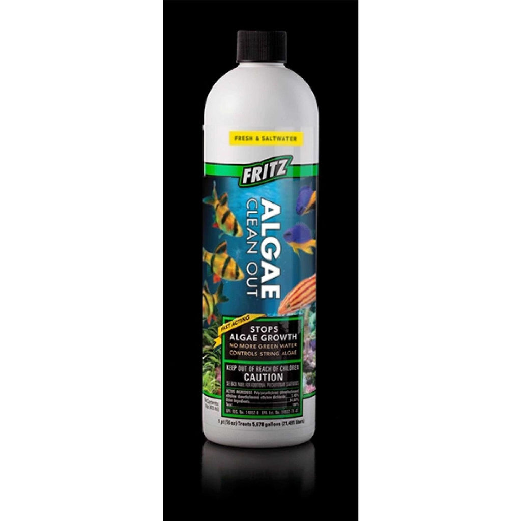 Aquarium Algae Clean Out U702984