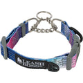 Patterned Reflective Chain Martingale Dog Collar C903873