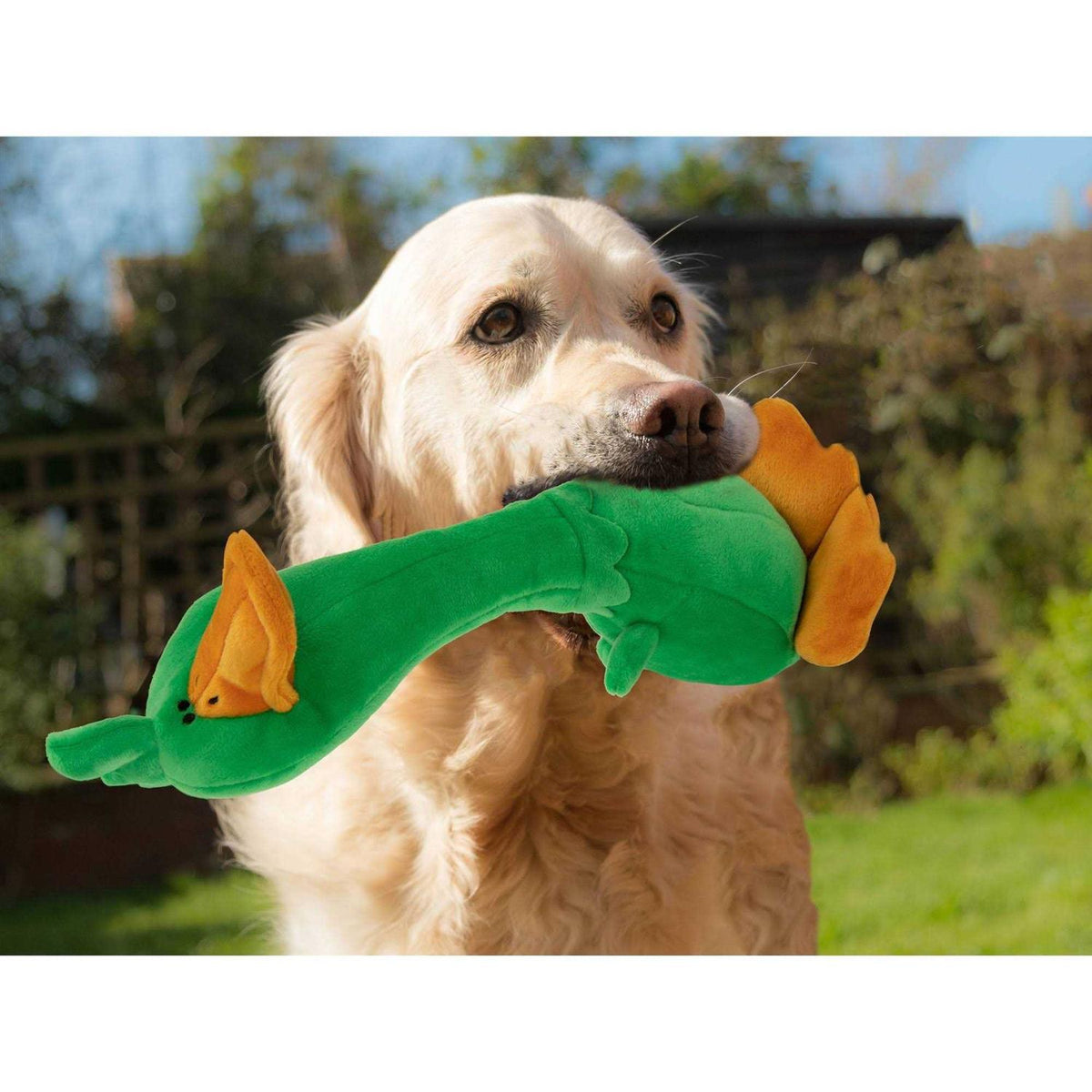 Long Neck Duck Dog Toy S727