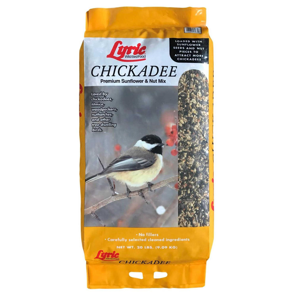 Chickadee Wild Bird A862916