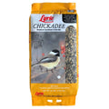Chickadee Wild Bird A862916