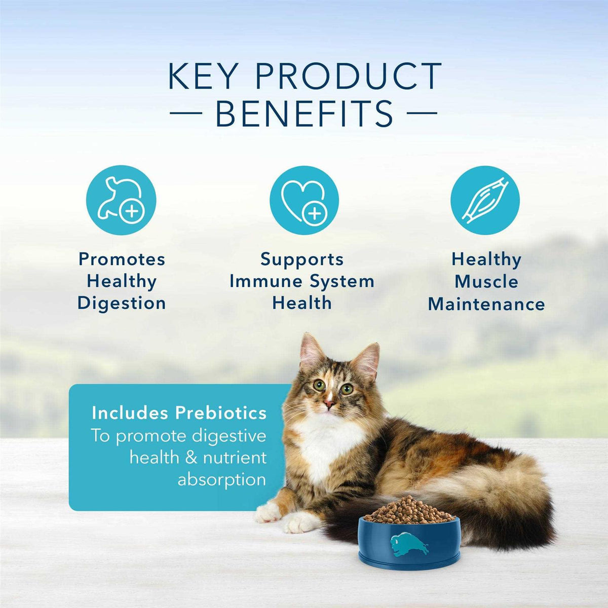 Adult Cat Dry Food H6896