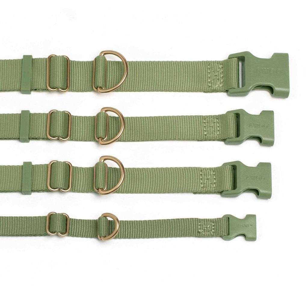 Standard Dog Collar I41264