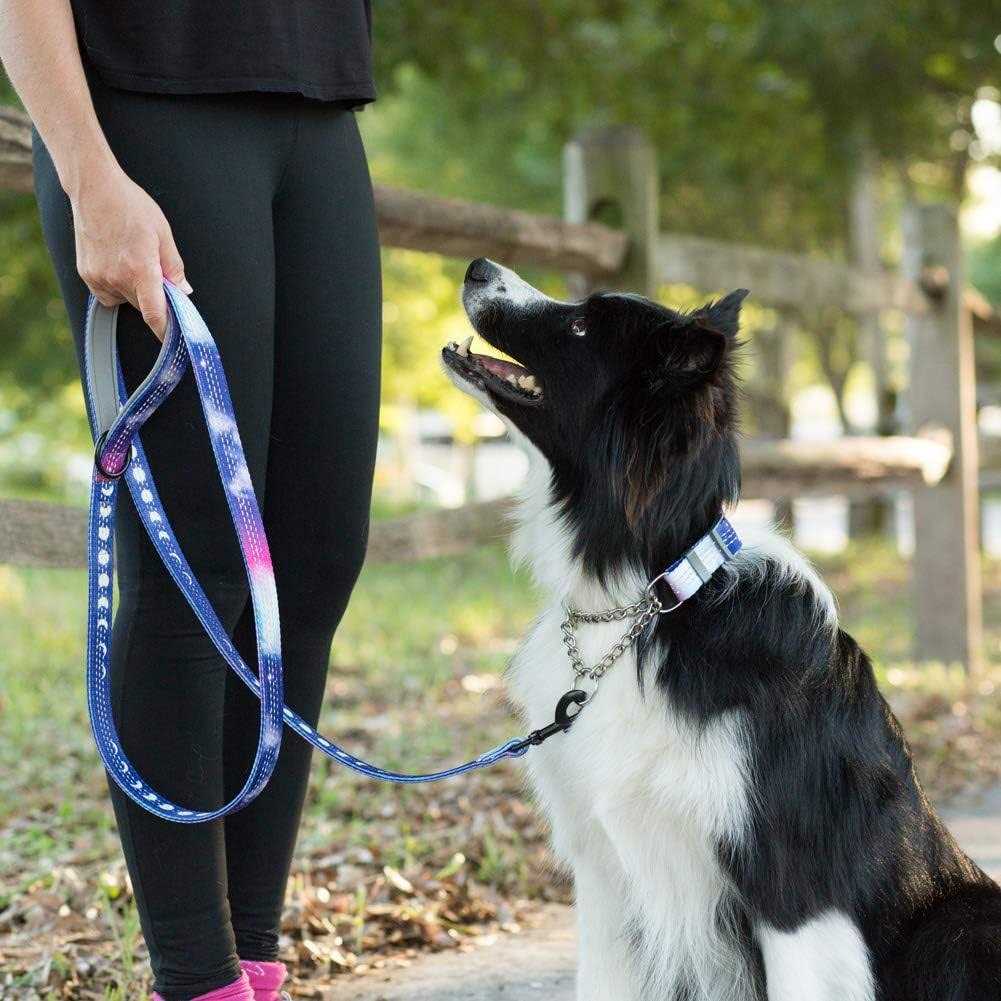 Patterned Reflective Chain Martingale Dog Collar C903873