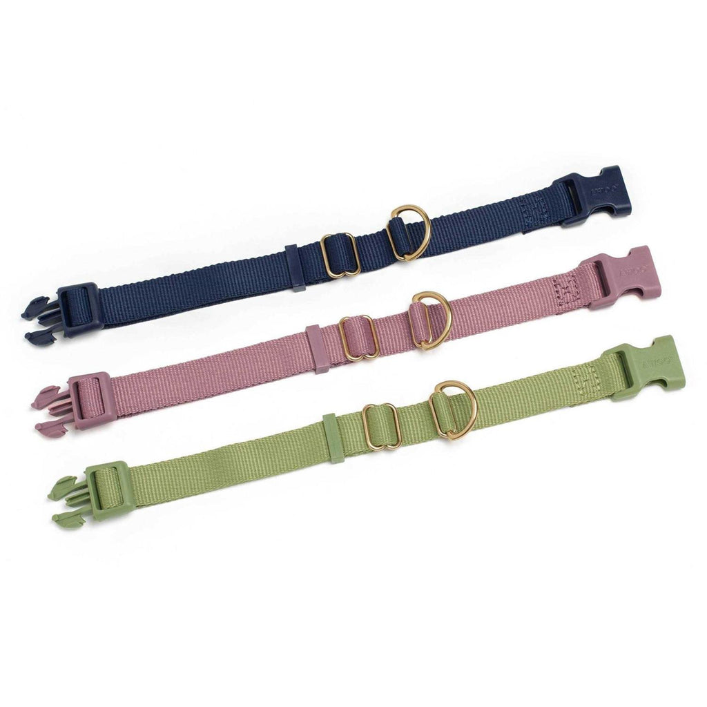 Standard Dog Collar I41264