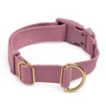 Standard Dog Collar I41264