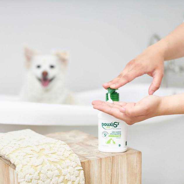 Shampoo R434970