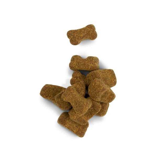 Chicken Flavor Soft Chews Dog Supplement A21510