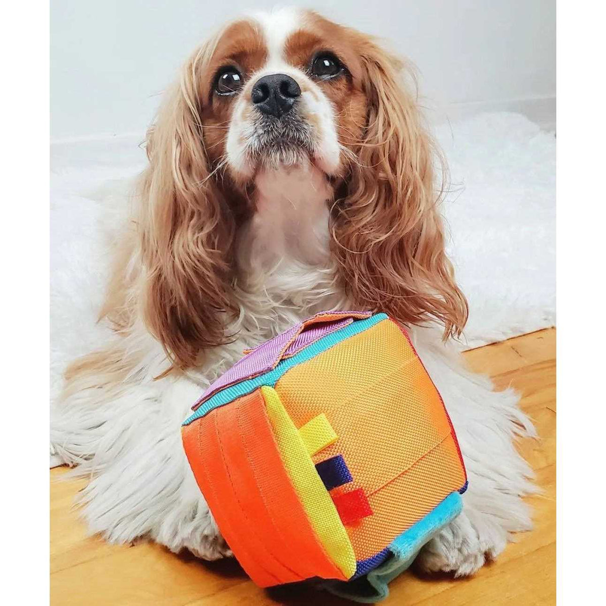 Dog Puzzle Toy G217285