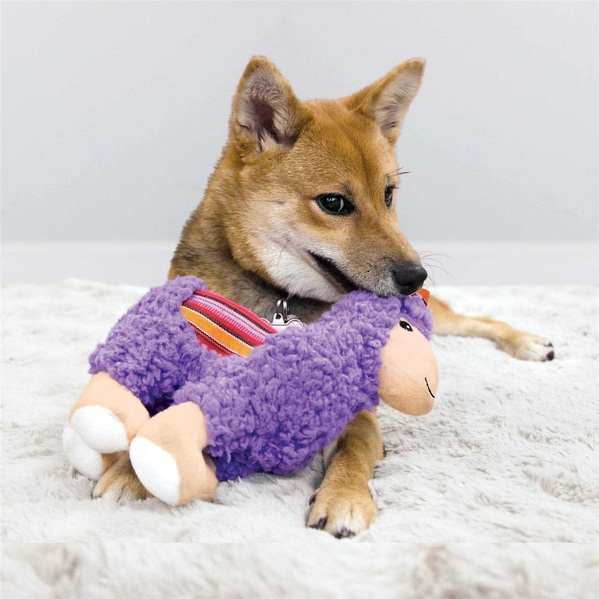 Dog Toy Medium P5405