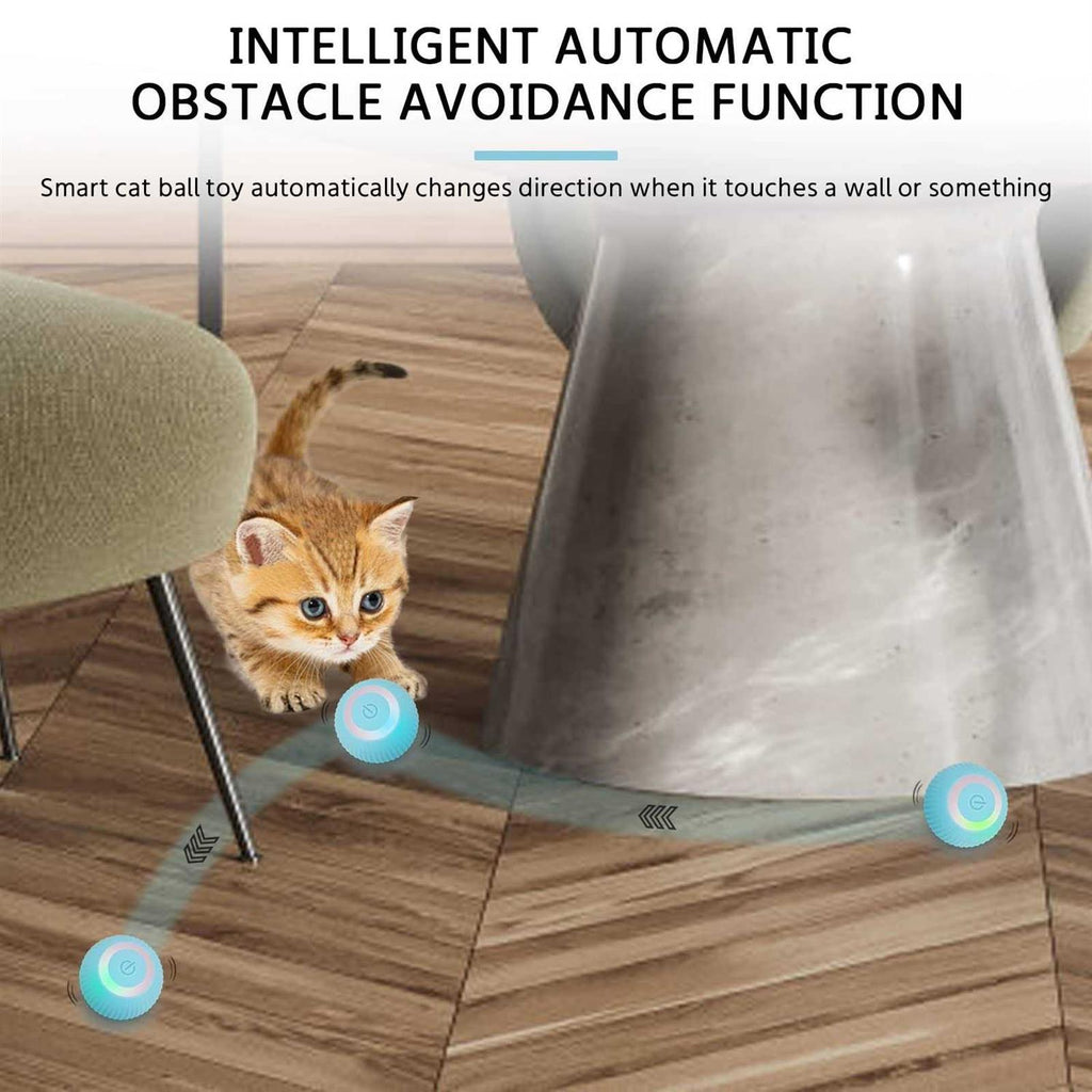 Interactive Cat Toy Ball with LED Light A448