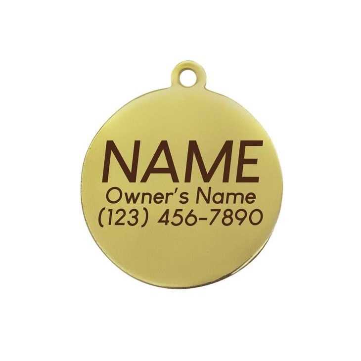 Lightning Bolt Pet ID Tag K287