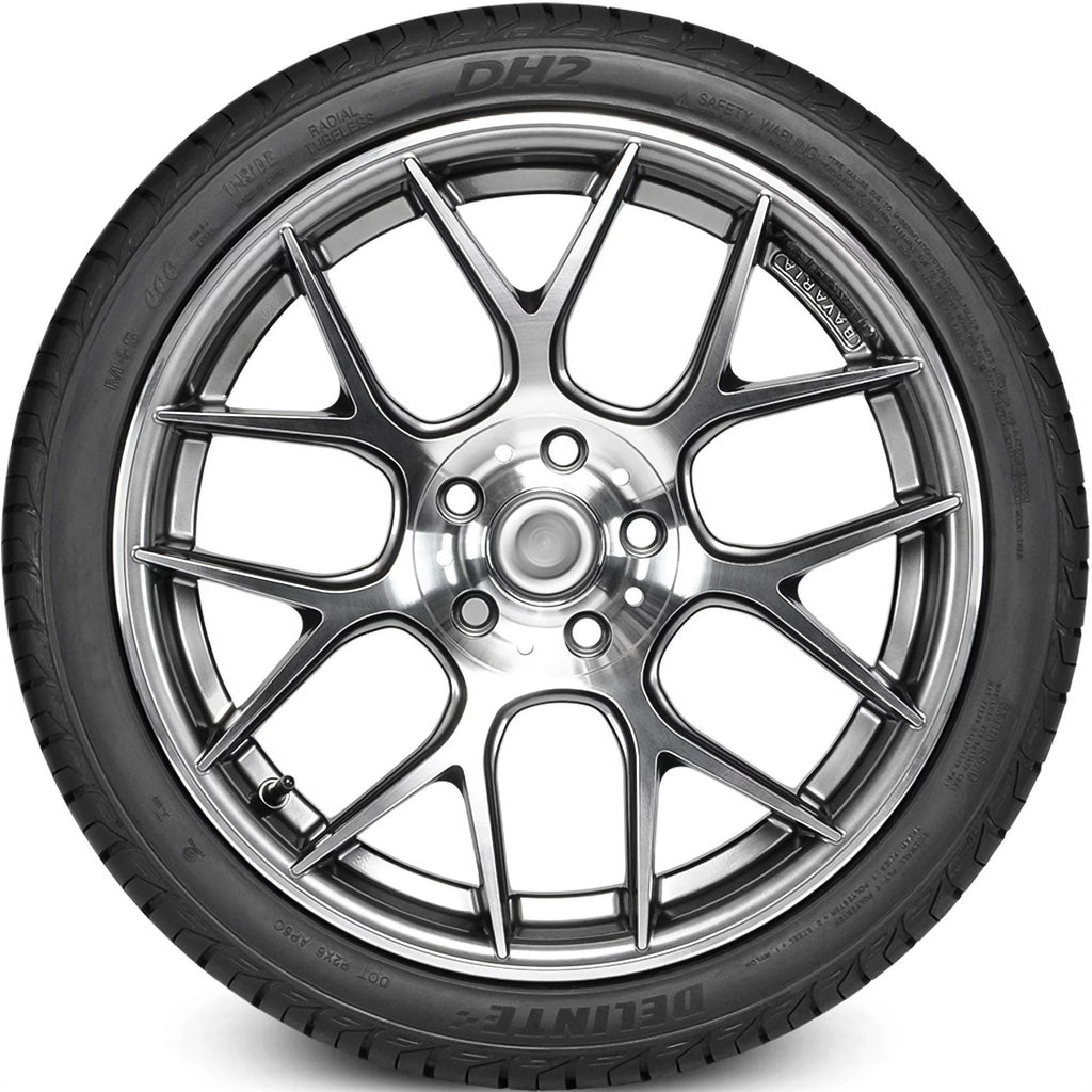 225/50R17 ZR 98W XL All Season High Performance Tire Z15135
