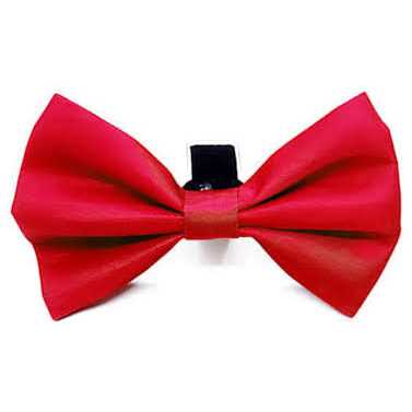Dog Collar with Removable Bow Tie F34240