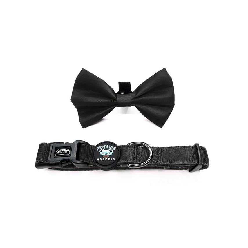 Dog Collar with Removable Bow Tie F34240