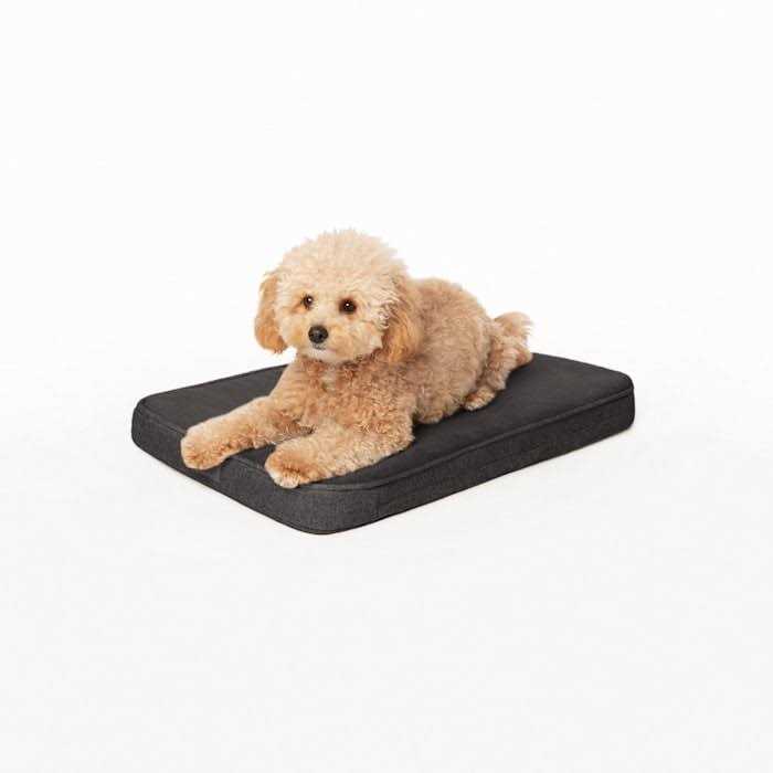 Memory Foam Dog Bed R9175