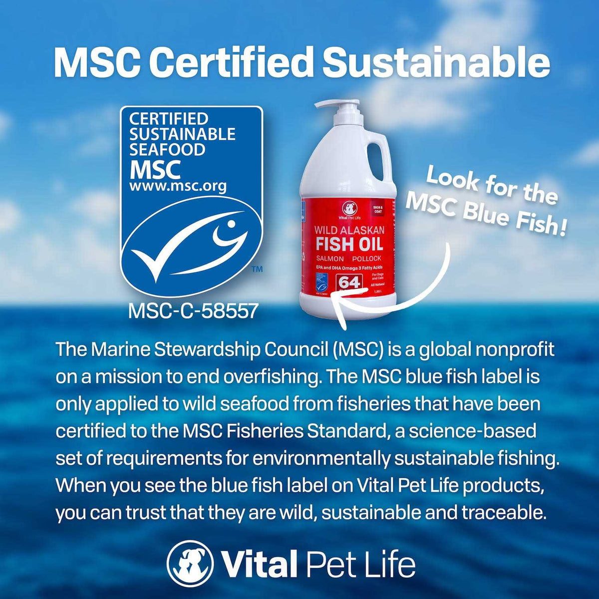 Fish Oil for Dogs Z84643