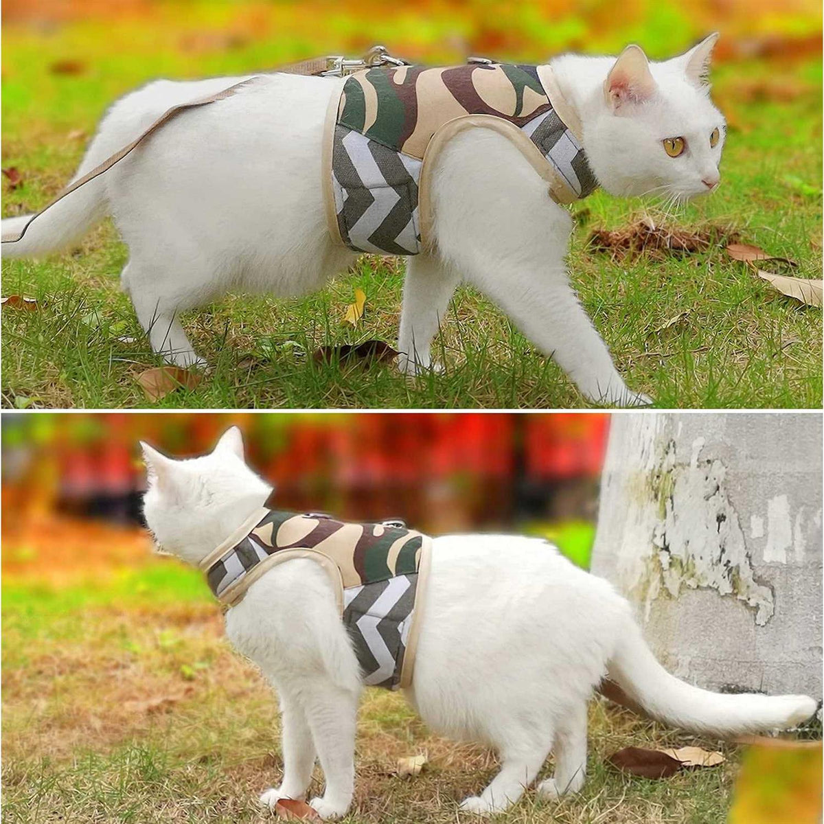 Cat Harness and Leash F206500