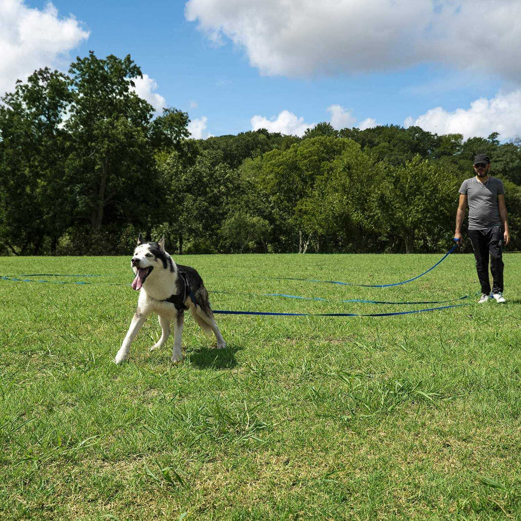 Dog Training Lead Leash R55714
