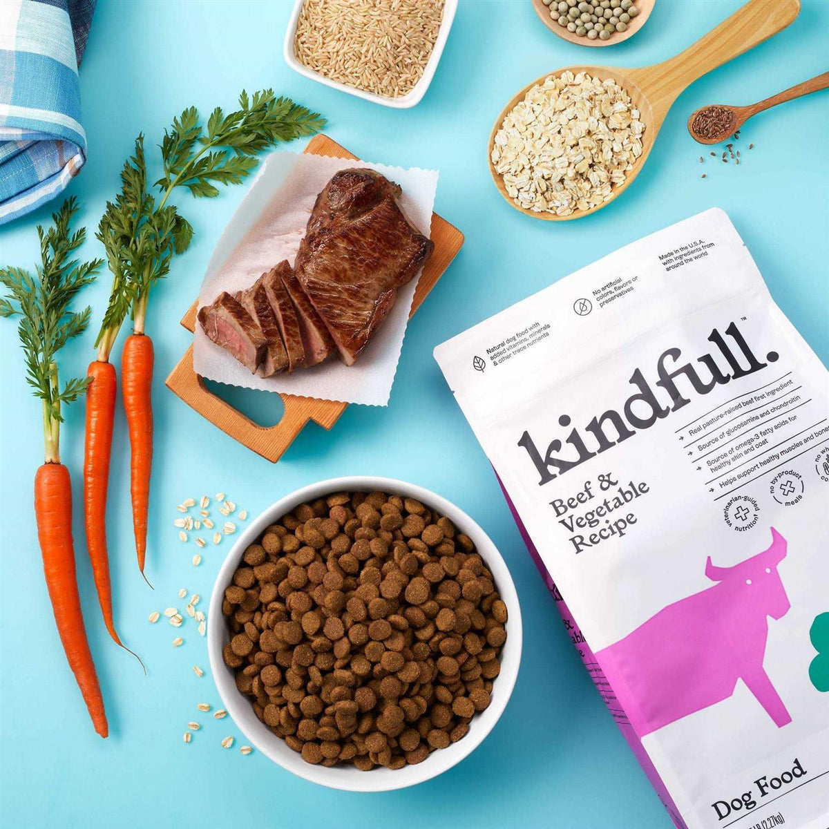 Beef and Vegetable Recipe Dry Dog Food Q249