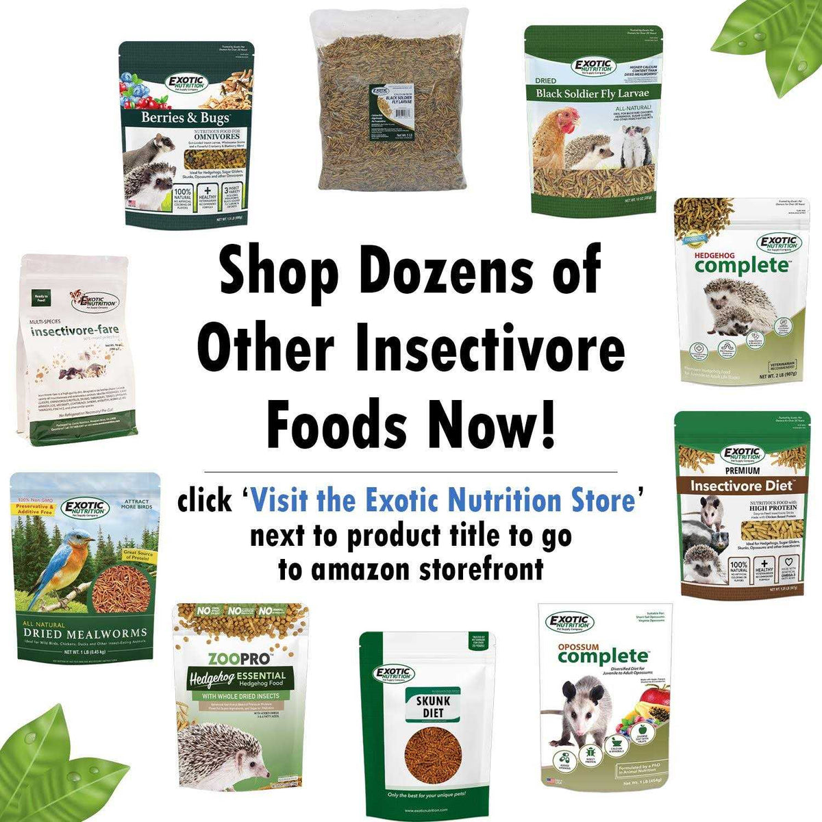 Insectivore Diet U351103