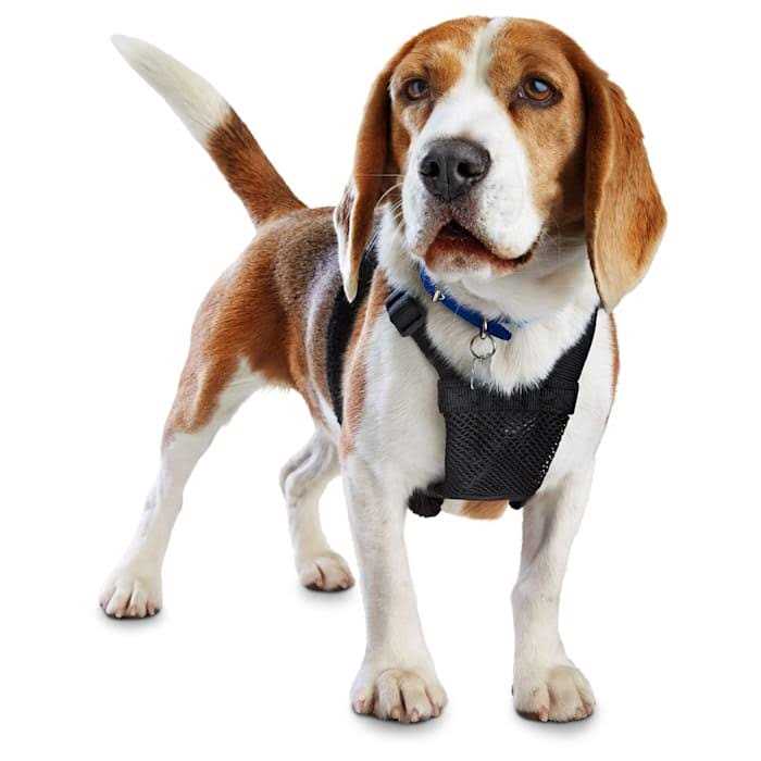 Black No Pull Dog Harness B91906