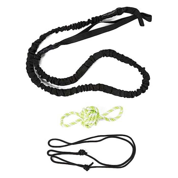 Outdoor Hanging Bungee Dog Toy Large N157