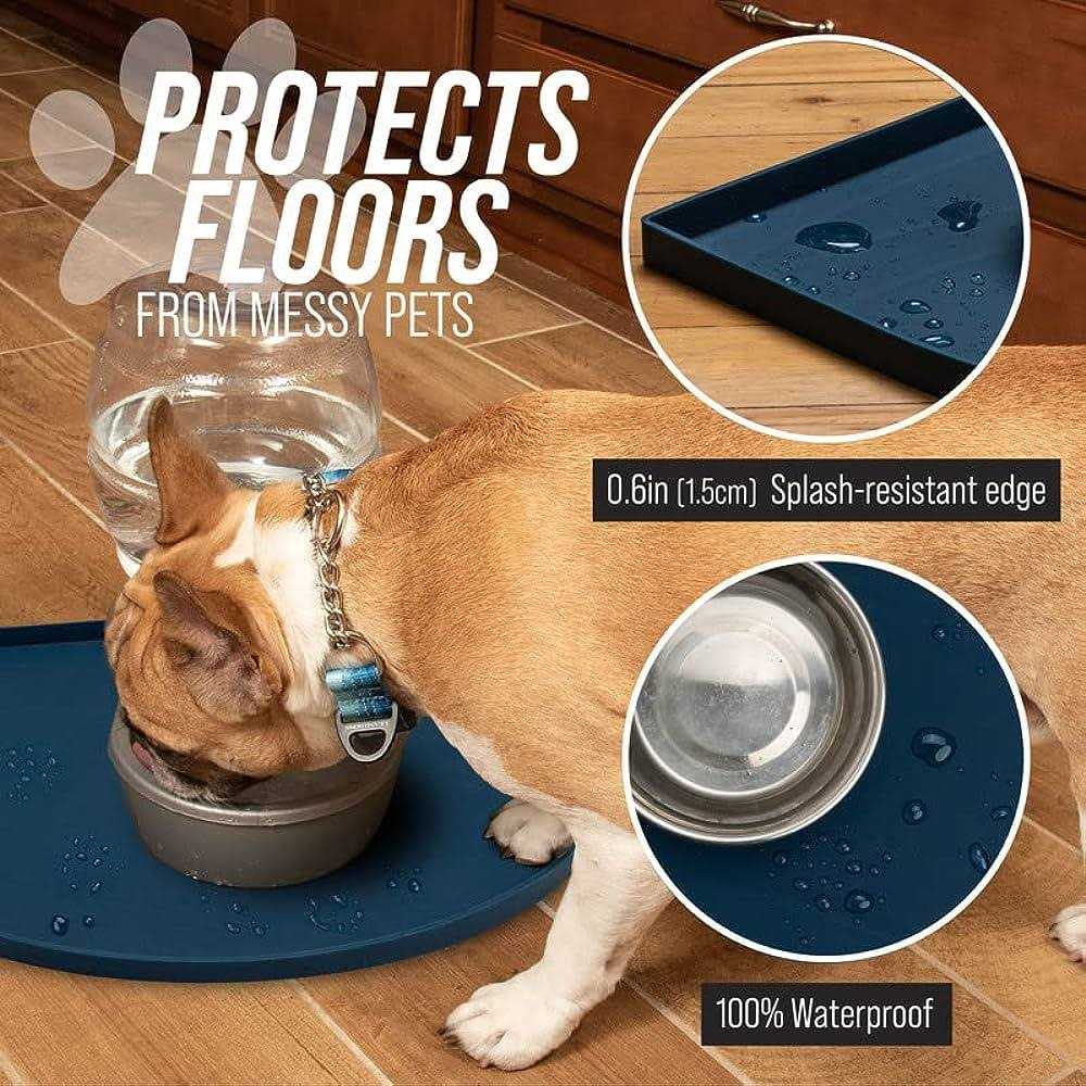 Silicone Water Fountain Mat R5467