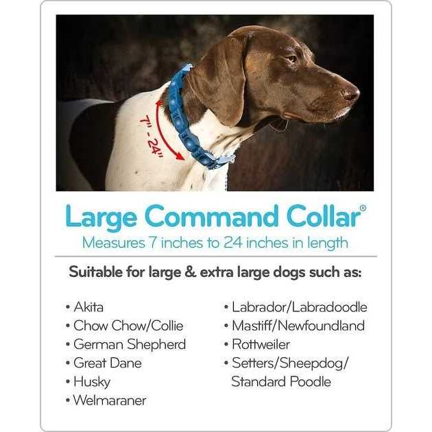 Dog Training Collar Medium Large V6658
