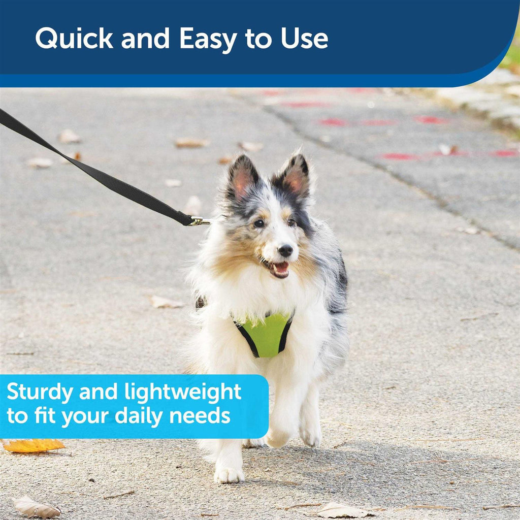Nylon Dog Leash Y482212